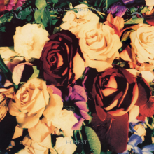 Dave Stewart and the Spiritual Cowboys - Honest