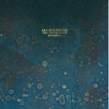 Napolin, Julie Beth - Only the Void Stands Between Us