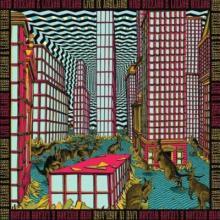 King Gizzard & the Lizard Wizard - Live In Adelaide '19