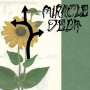 Miracle Debt - Under the Shadow