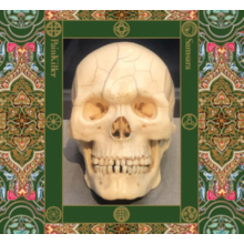 Painkiller - Samsara