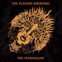 Flaming Sideburns & the Maharajas - 7-Split