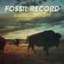 Fossil Evolution - A Little Weight