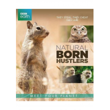 Documentary/Bbc Earth - Natural Born Hustlers