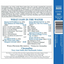 Chromaduo - What I Saw In the Water