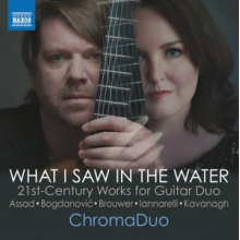 Chromaduo - What I Saw In the Water
