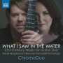 Chromaduo - What I Saw In the Water
