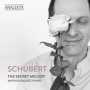 Gaudet, Mathieu - Schubert: the Secret Melody