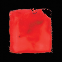 Palth, Salvia - Last Chance To See