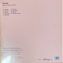 Ippon - What Can I Test?