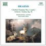 Boston Symphony Orchestra, Leo - Sonatas For Clarinet & Pi