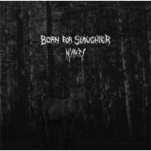 Born For Slaughter - Split