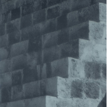 Pop Vulture - Another Success