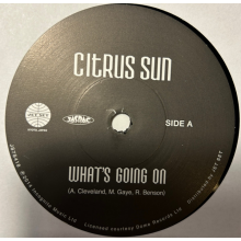 Citrus Sun - 7-What's Going On
