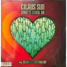 Citrus Sun - 7-What's Going On