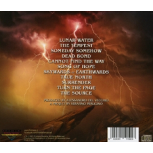 Grandmaster - Skywards