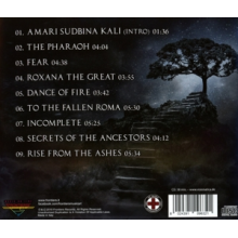 Visionatica - Enigma Fire