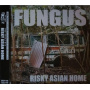 Fungus - Risky Asian Home