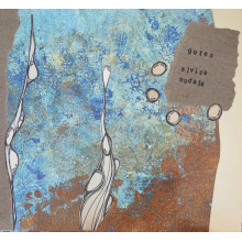 Nodale, Alvise - Gotes