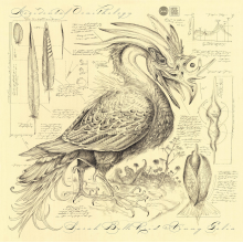 Sarah Belle Reid & Vinny Golia - Accidental Ornithology