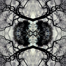 Go: Organic Orchestra - Sonic Mandala