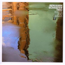 Schaefer, Benjamin - Roots and Wings