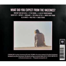 Vaccines, the - What Did You Expect From the Vaccines?