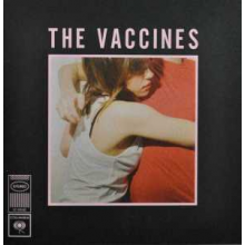 Vaccines, the - What Did You Expect From the Vaccines?