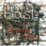 Blast - Stringy Rugs