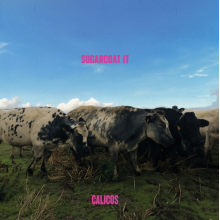 Calicos - Sugarcoat It