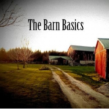 Vanderveen, Ad - Barn Basics