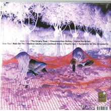 Sonic Youth - Murray Street