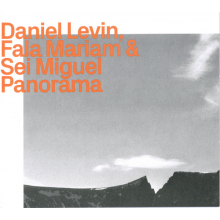 Levin, Daniel - Panorama