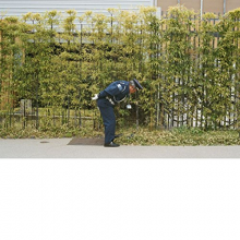 Gold Panda - Good Luck and Do Your Best