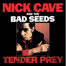 Nick Cave & the Bad Seeds - Tender Prey