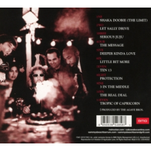 Hagar, Sammy - Ten 13