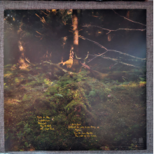 Savage, Anna B - You & I Are Earth