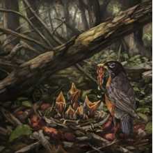 Acacia Strain - Step Into the Light