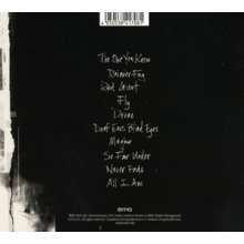 Alice In Chains - Rainier Fog