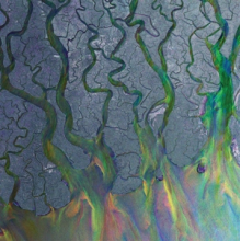 Alt-J - An Awesome Wave