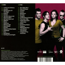 Ash - Teenage Wildlife - 25 Years of Ash