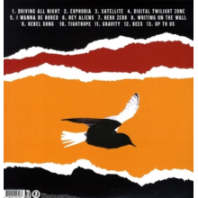 Bouncing Souls - Simplicity