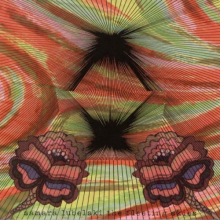 Lubelski, Samara - Fleeting Skies