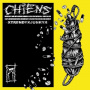 Chiens - Trendy Junky