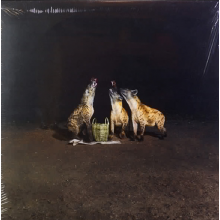 Years of Denial - Suicide Disco