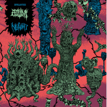 Diskord - Bipolarities