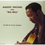Waters, Muddy - Sings Big Bill Broonzy