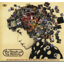 V/A - He Took Us By Storm