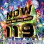 V/A - Now That's What I Call Music! 119