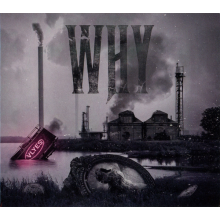 Vlyes - Why